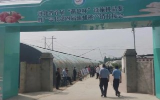 广宗气候变迁历史简介（广宗气候变迁历史的真实记录）