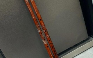 玉屏箫笛非物质文化遗产（玉屏箫笛非遗怎么学零基础入门）