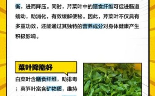 非物质文化遗产菜叶（菜叶非遗传承是什么）