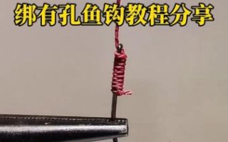 鲁港鱼钩非物质文化遗产（鲁港鱼钩非遗手工技艺入门教程）