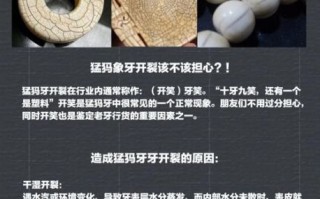 猛犸非物质文化遗产（猛犸牙雕非遗教程：零基础也能看懂）