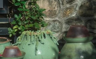 会理非物质文化遗产遗产（会理绿釉陶烧制技艺介绍）