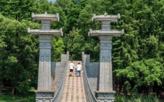 东湖非物质文化遗产（东湖非遗打卡攻略2025完整版）