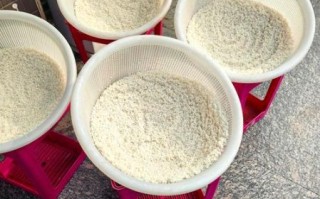 非物质文化遗产泡虾（泡虾非物质文化遗产由来与做法详解）