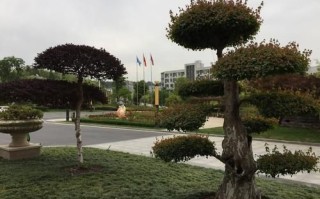 旌德县历史气候变迁情况（旌德县近百年气候变迁完整图解）