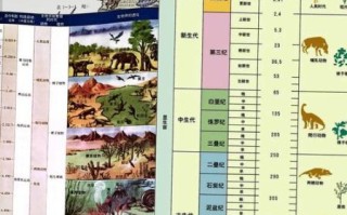 地球历史中的气候变迁（地球历史时期气候如何变迁）