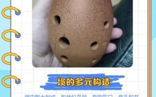 古埙非物质文化遗产（零基础学古埙多久能吹奏曲）