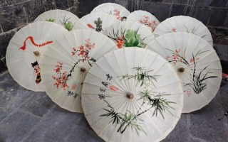 伞非物质文化遗产（伞制作非物质文化遗产有哪些工艺特色）