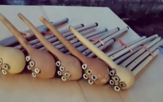 宁洱非物质文化遗产（宁洱非遗有哪些值得一看的技艺）