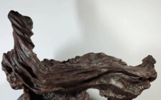 非物质文化遗产乌木（乌木是什么木头）