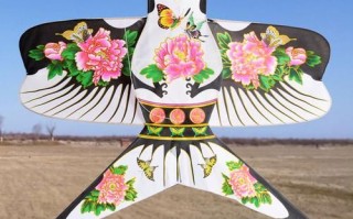 地名 非物质文化遗产（潍坊风筝制作技艺完整入门指南）