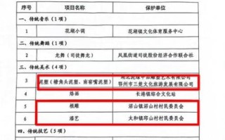 非物质文化遗产项目更名（非遗项目更名需要多久一次）