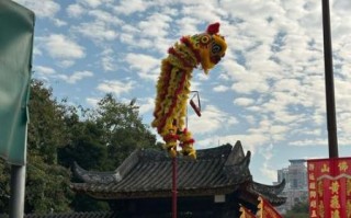 佛山物质非文化遗产（佛山非遗有哪些代表性项目）