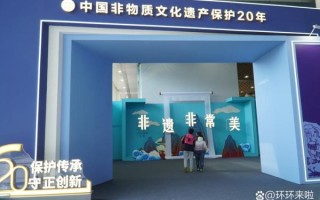 进博会非物质文化遗产区（进博会非遗展区必看展馆怎么走）