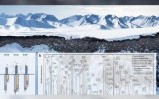 东北古气候变迁历史（东北古气候变迁史：冰期大轮回）