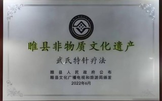 非物质道医文化遗产（非物质道医文化遗产申请流程与传承人故事）