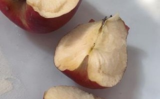 苹果非物质文化遗产视频（苹果非遗文化纪录片在哪儿看）