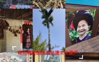 槟榔文化非物质文化遗产（槟榔文化列入非物质文化遗产了吗）