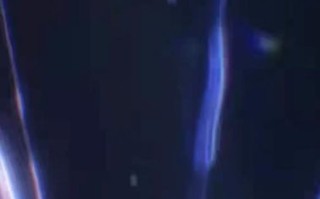 华为招超导量子计算吗