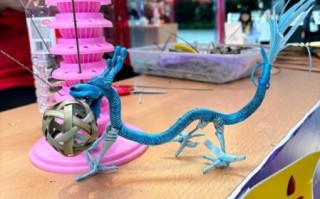 格尔斯非物质文化遗产（格尔斯非遗手工技艺如何入门）