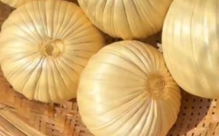 非物质文化遗产甜瓜（非物质文化遗产甜瓜有哪些）