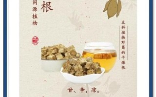 葛根非物质文化遗产（葛根炮制工艺非遗如何学习）