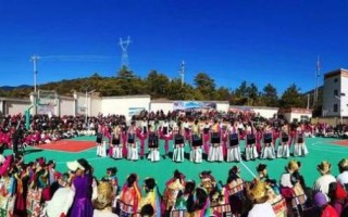 尼西情舞非物质文化遗产（尼西情舞怎么入门？手把手零基础指南）