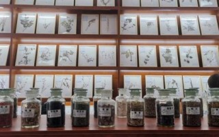 彝医非物质文化遗产（彝医非物质文化遗产如何学习）