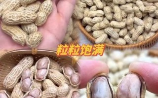 花生非物质文化遗产（花生非物质文化遗产是真的吗？）