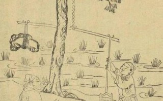 桔槔非物质文化遗产（桔槔是什么非遗技艺）