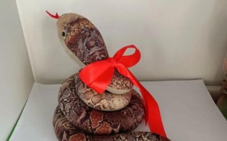 非物质文化遗产布艺（非物质文化遗产布艺怎么做）