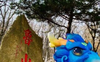 鲁山非物质文化遗产简介（鲁山非物质文化遗产有哪些）