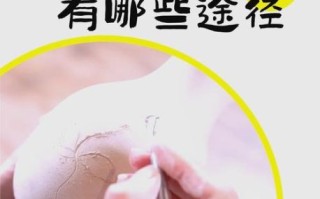 非物质文化遗产学习（新手学非物质文化遗产从哪里入门）