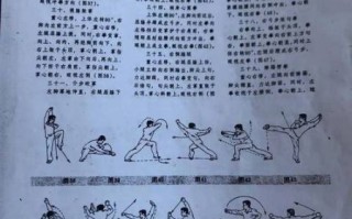 非物质武术文化遗产作品（正宗非物质武术文化遗产套路有哪些）