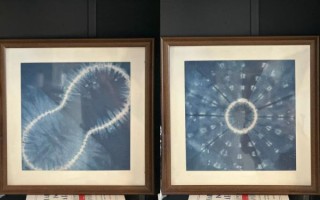 蓝染等非物质文化遗产（蓝染怎么练？零基础手工全套教程）