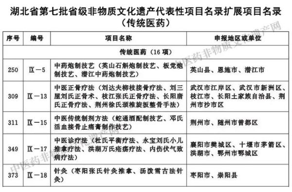 非物质文化遗产医药类（什么是中医药非物质文化遗产）-第3张图片-八三百科