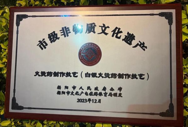 非物质文化遗产医药类（什么是中医药非物质文化遗产）-第2张图片-八三百科