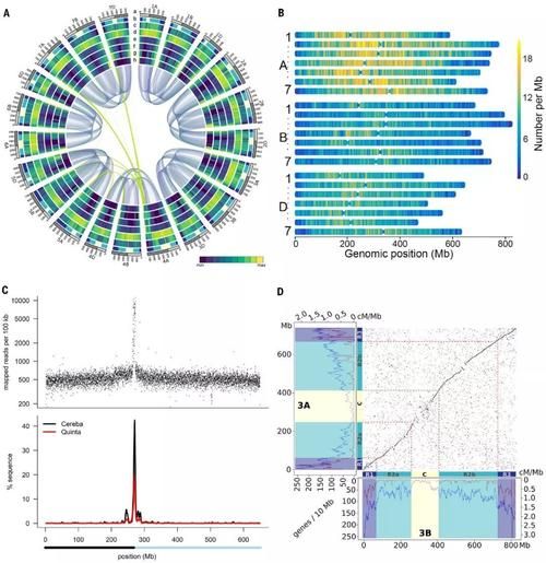 鹿邑县气候变迁历史图谱（鹿邑县百年气候变迁图谱数据在哪里看）-第3张图片-八三百科