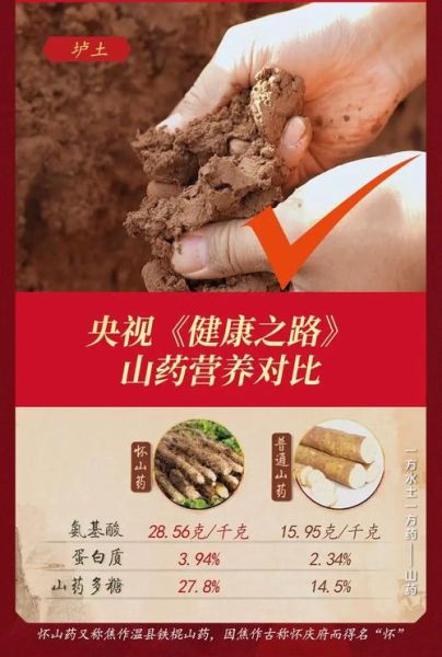 山药非物质文化遗产（山药非物质文化遗产是真的吗？）-第3张图片-八三百科
