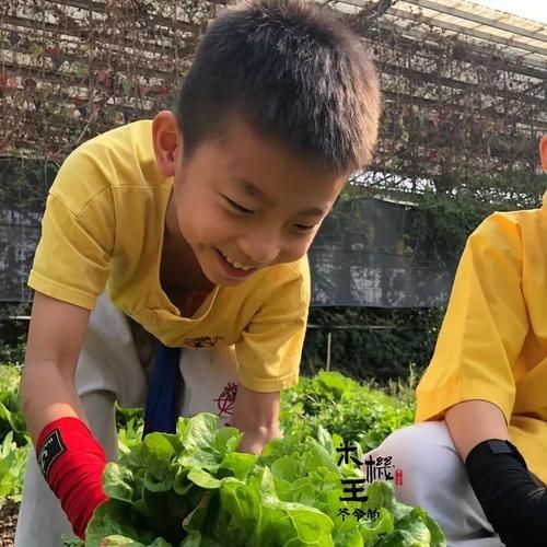 米机王非物质文化遗产（米机王非物质文化遗产保护现状如何）-第2张图片-八三百科