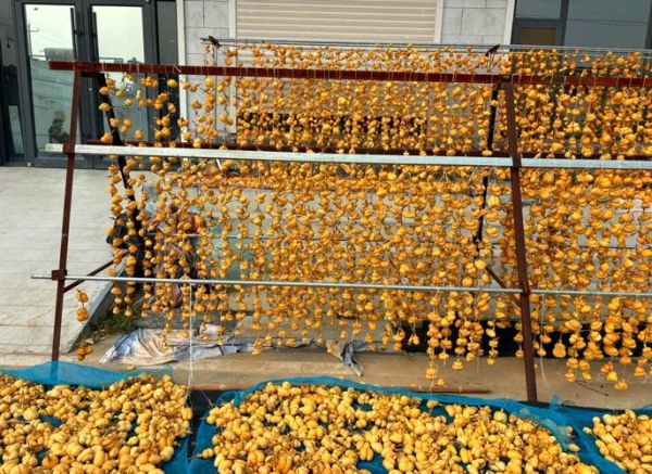 聊城非物质文化遗产(聊城非遗名录中哪个最出名?)-第2张图片-八三百科 聊城非物质文化遗产(聊城非遗名录中哪个最出名?)-第2张图片-八三百科