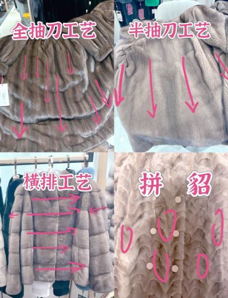 貂非物质文化遗产（东北传统貂皮制作技艺怎么申请非遗）-第1张图片-八三百科