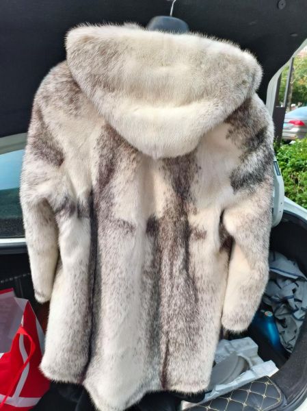 貂非物质文化遗产（东北传统貂皮制作技艺怎么申请非遗）-第3张图片-八三百科