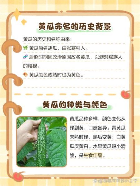 非物质文化遗产黄瓜（非遗黄瓜为什么能逆袭成网红）-第1张图片-八三百科