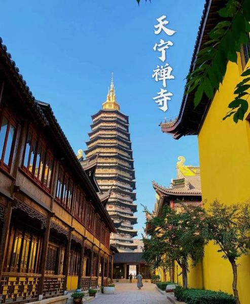 天宁寺非物质文化遗产（天宁寺梵呗非遗小白入门攻略）-第1张图片-八三百科