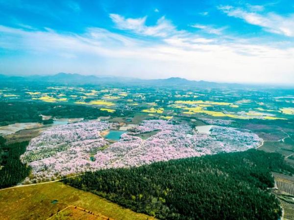 郎溪县历史气候变迁（郎溪县百年气候变化全纪录）-第1张图片-八三百科