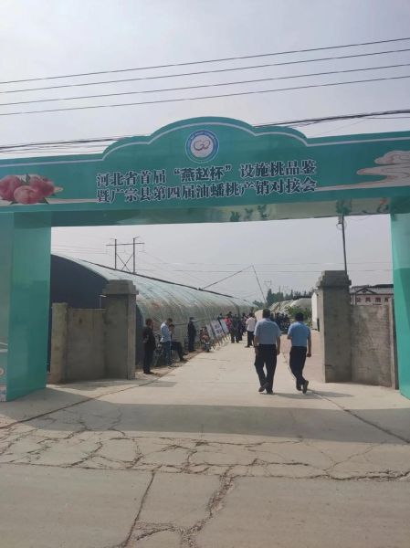 广宗气候变迁历史简介（广宗气候变迁历史的真实记录）-第1张图片-八三百科