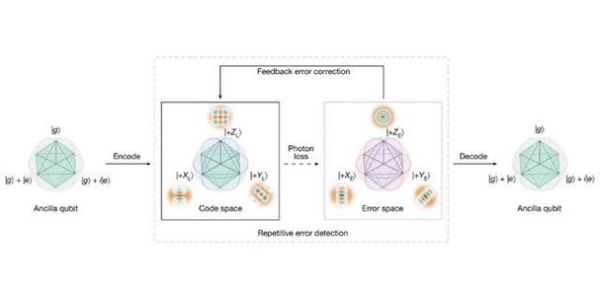 国内量子计算技术路线（中国量子计算用超导还是光量子）-第1张图片-八三百科