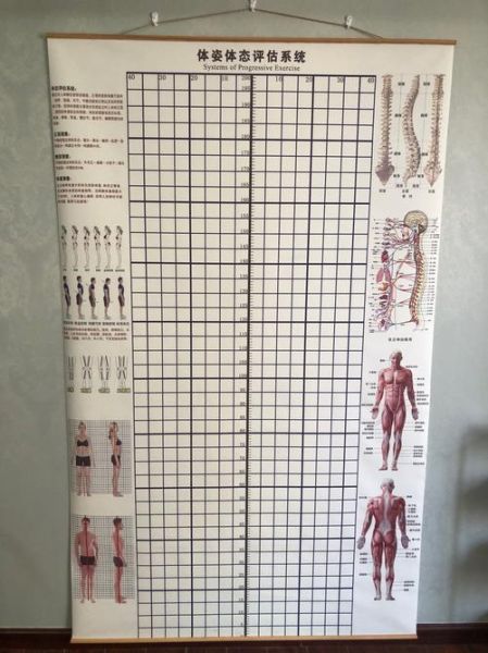 非物质文化遗产正骨（非物质文化遗产正骨手法入门教程）-第1张图片-八三百科