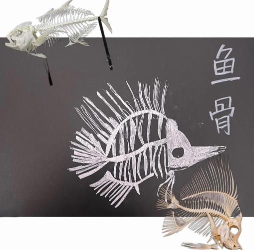 鱼骨工艺非物质文化遗产（鱼骨工艺非物质文化遗产传承人怎么入门）-第3张图片-八三百科